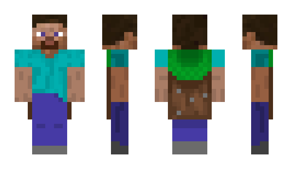 Minecraft skin nr_sjw