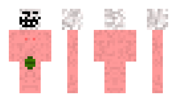 Minecraft skin skinnerd