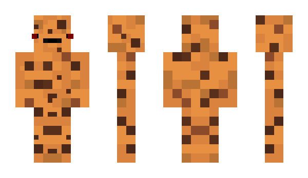 Minecraft skin 2sak