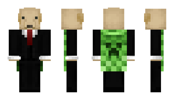 Minecraft skin holll