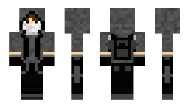 Minecraft skin Secomp