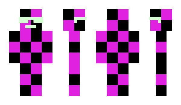 Minecraft skin pKit