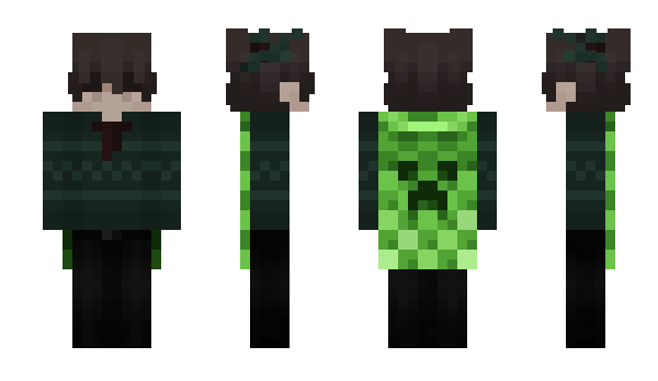 Minecraft skin Ty2k