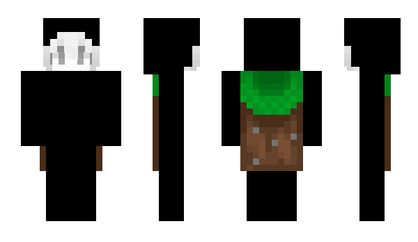 Minecraft skin qtzf