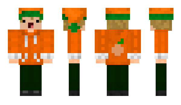 Minecraft skin Mecree