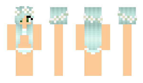 Minecraft skin _Static