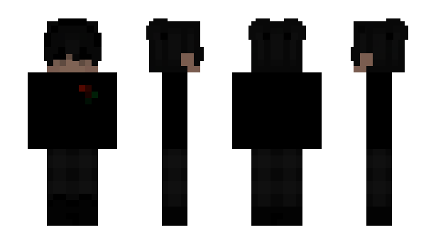 Minecraft skin __Ev