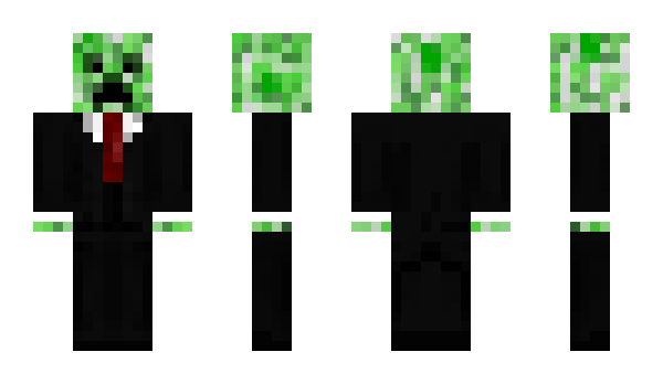 Minecraft skin E404