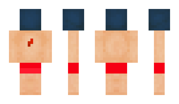 Minecraft skin shgpc