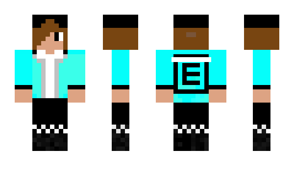 Minecraft skin SonHak