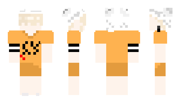 Minecraft skin LABTOON