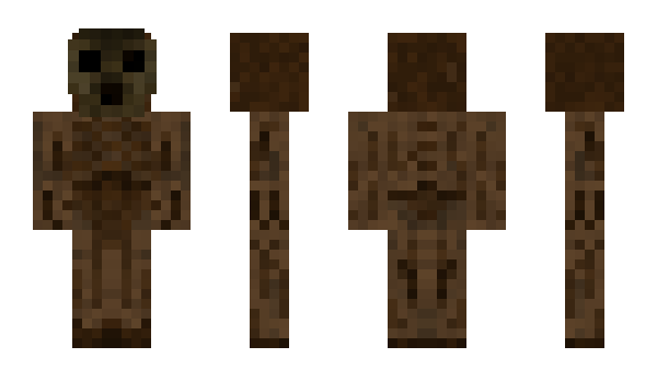 Minecraft skin 501