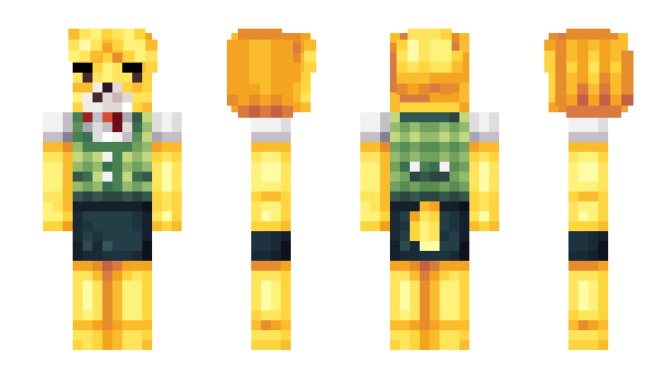 Minecraft skin brazcraft