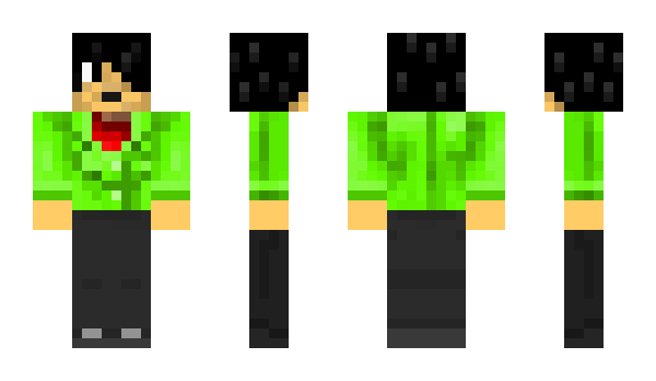 Minecraft skin Prad