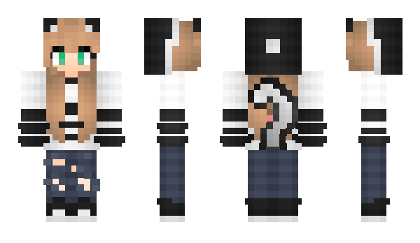 Minecraft skin One__Piece