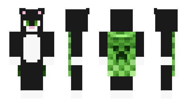 Minecraft skin EKKOREE_Z5CLCqd