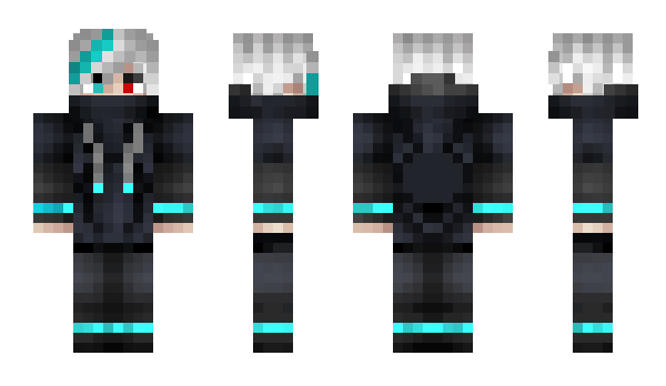 Minecraft skin Woltonn