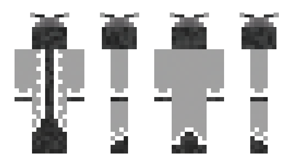 Minecraft skin 4hl