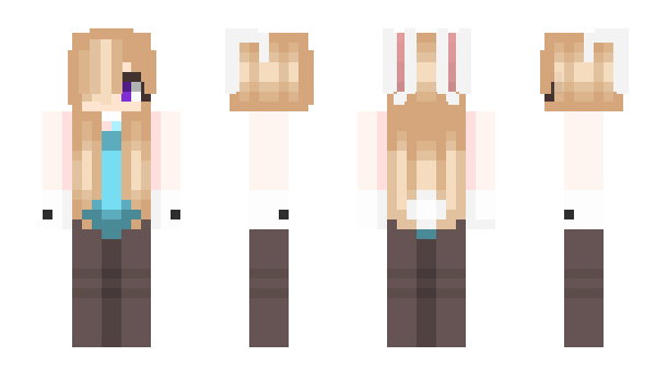 Minecraft skin apig