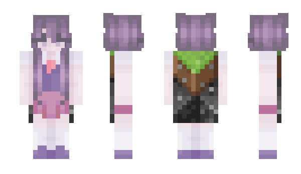 Minecraft skin ywdd