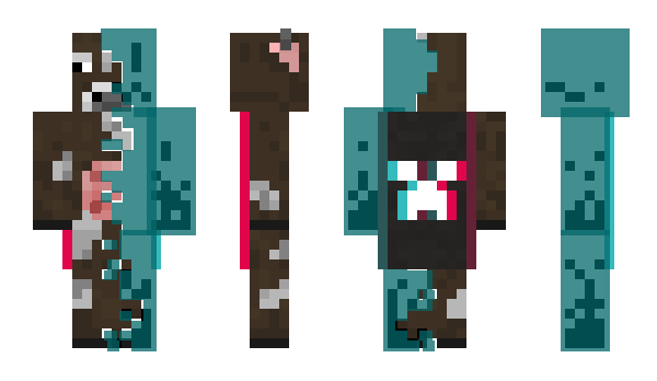 Minecraft skin injir
