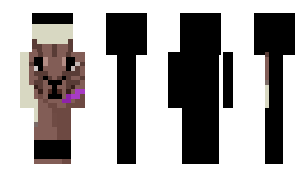 Minecraft skin Sweyn