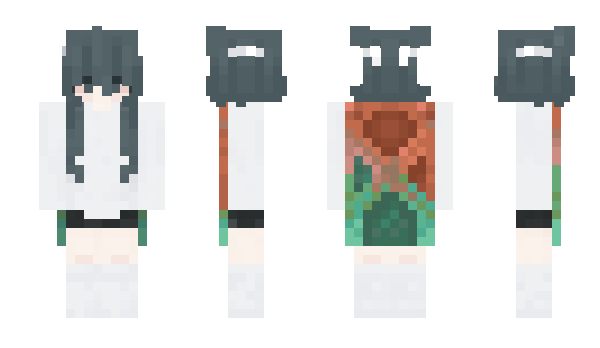 Minecraft skin wasf0und