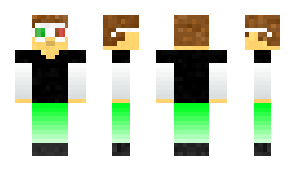 Minecraft skin LeVager