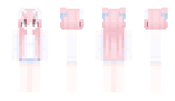 Minecraft skin FIying