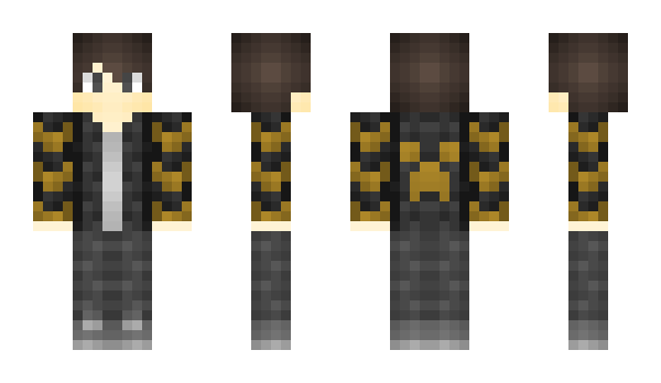 Minecraft skin RemiHD