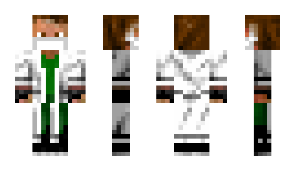 Minecraft skin Delnik_Cardinal