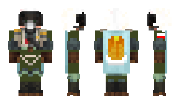 Minecraft skin F35Husarz