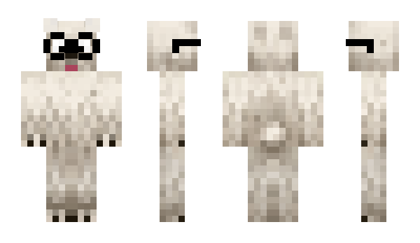 Minecraft skin Zytricx
