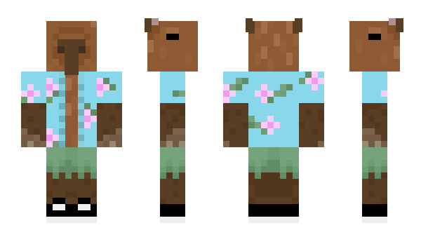 Minecraft skin Naru4o