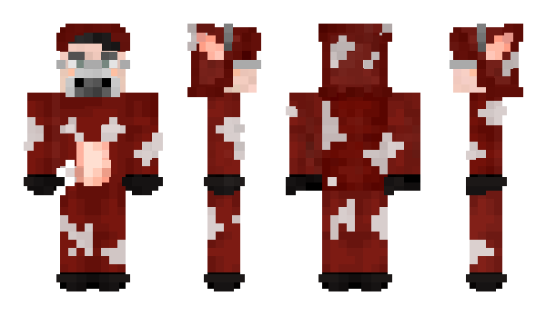 Minecraft skin Mr_Ertenoff