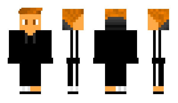 Minecraft skin Ferrt