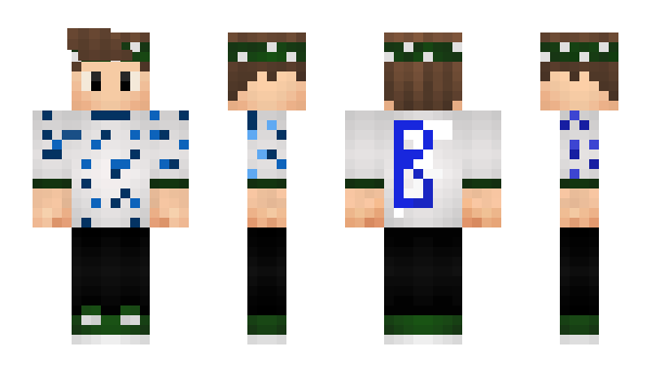 Minecraft skin BerryxYT