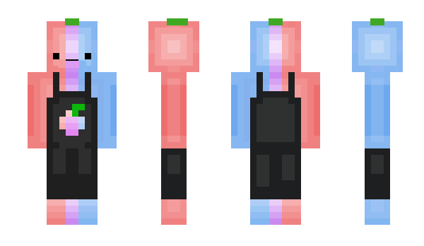 Minecraft skin toschirru