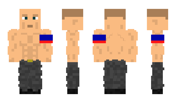 Minecraft skin fenfi