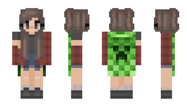 Minecraft skin roadworthy