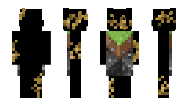 Minecraft skin solsk