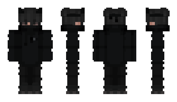 Minecraft skin DiskPart