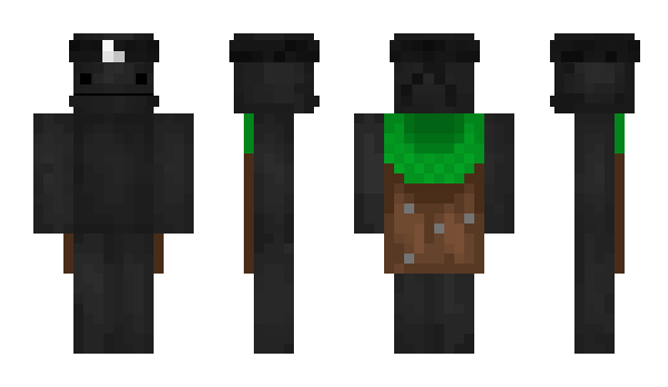 Minecraft скин по нику PrettyKitten67