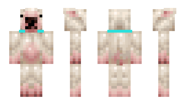 Minecraft skin Dhollbaeb