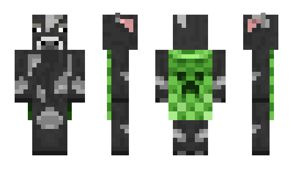 Minecraft skin qnci
