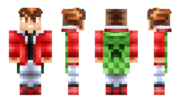 Minecraft skin MeetTerry