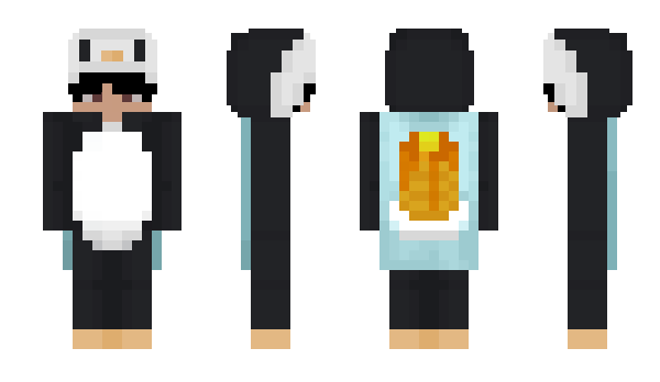 Minecraft skin pinguinoYT