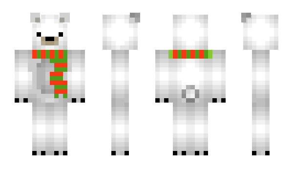 Minecraft skin wroster