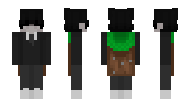 Minecraft skin DrywaIls