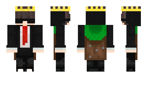 Minecraft skin Neather_Spider